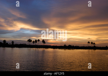 Coucher de soleil SUR LE LAC KUTTANAD Banque D'Images