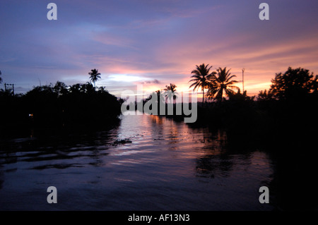 Coucher de soleil SUR LE LAC KUTTANAD Banque D'Images