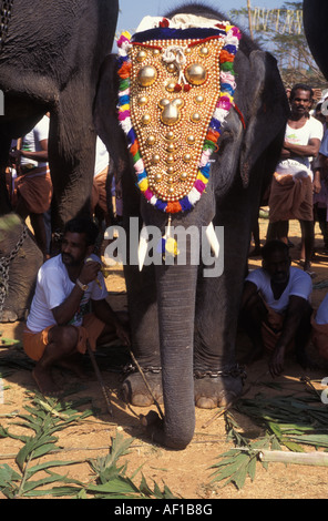 L'Inde du Sud Kerala légende locale Trichur Festival de l'éléphant Banque D'Images