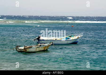 Voile Mer Rouge Sinaï Égypte Banque D'Images