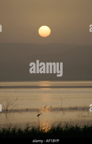 Le lever du soleil sur la mer de Galilée israël Banque D'Images