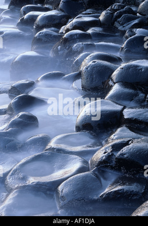 Colonnes de basalte érodé, Giant's Causeway, Antrim, en Irlande du Nord, Royaume-Uni Banque D'Images