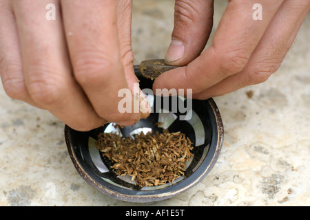 La préparation et le matériel roulant hippy mixte série photos de fumer de la marijuana Banque D'Images