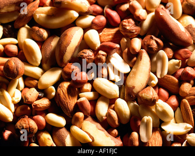 Photo de paysage de diverses y compris les noix du Brésil noix arachides amandes noisettes Banque D'Images