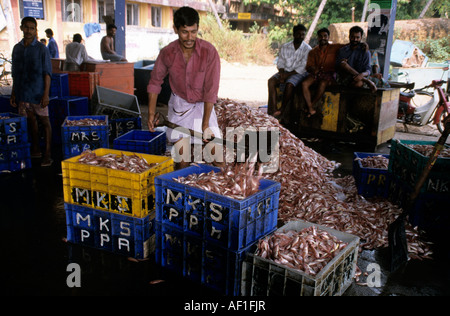 L'Inde du Sud Kerala Calicut légende locale Village de pêcheurs Banque D'Images