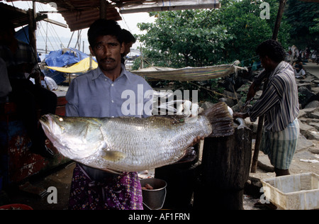 L'Inde du Sud Kerala légende locale Kochin Fish Market Banque D'Images