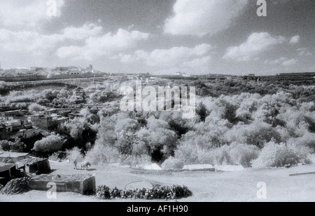 Vue paysage infra rouge de Meknès au Maroc au Maghreb en Afrique du Nord Sahara. Voyage biblique Banque D'Images