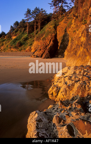 Le coucher du soleil colore les bluffs à l'aire de loisirs d'état de Hug Point sur la côte de l'Oregon, USA Banque D'Images