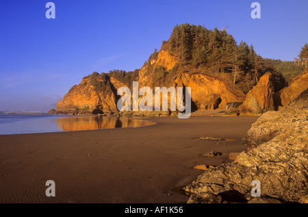 Le coucher du soleil colore les bluffs à l'aire de loisirs d'état de Hug Point sur la côte de l'Oregon, USA Banque D'Images