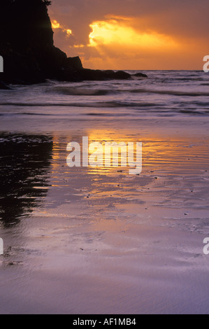 Coucher de soleil à la plage de sable court dans Oswald West State Park, Oregon, USA Banque D'Images