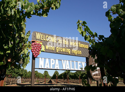 Le Comté de Napa vignobles de Napa Valley, Californie, USA Banque D'Images