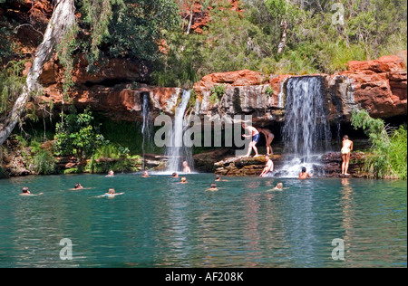 Fern piscine dans le parc national de Karijini, Australie occidentale Banque D'Images