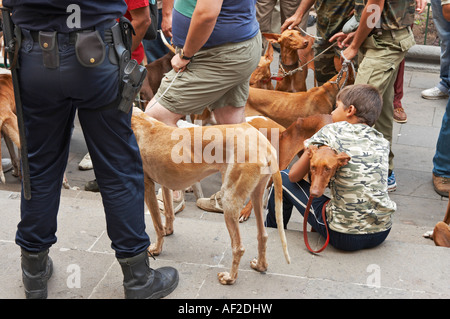 L'Espagnol les chasseurs et leurs chiens qui protestaient devant l'hôtel de ville à Las Palmas, Gran Canaria, Îles Canaries, Espagne, Europe. Banque D'Images
