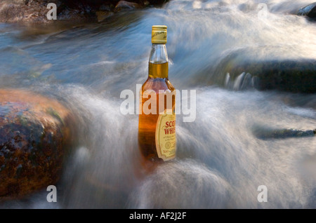 Bouteille de whisky dans la glace de l'eau froide les Cairngorms en brûler près de Braemar, parc national de Cairngorm, Ecosse, Royaume-Uni Banque D'Images