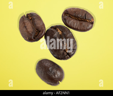 Stock Red Rocket Close up photographie de grains de café avec chemin de découpe sur un fond de couleur Banque D'Images