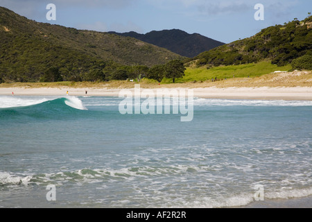 La péninsule de Northland Aupori Île du Nord Nouvelle-zélande Tapotupotu Bay avec des vagues sur la plage de sable sur la côte est du Pacifique Banque D'Images