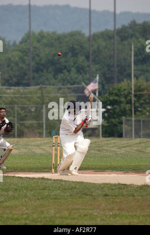 À la hauteur tonale oscillante batteurs dans Cricket match joué au New Jersey USA par les joueurs de l'Inde Pakistan Australie Antilles Banque D'Images