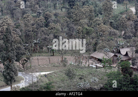 Les cendres volcaniques couvre des centaines de villages et de terres agricoles après l'éruption du volcan Merapi, à Java, en Indonésie. Banque D'Images