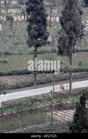 Les cendres volcaniques couvre des centaines de villages et de terres agricoles après l'éruption du volcan Merapi, à Java, en Indonésie. Banque D'Images