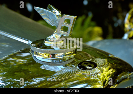 Emblème de Bentley sur voiture classique R-Type à partir de 1954. Banque D'Images