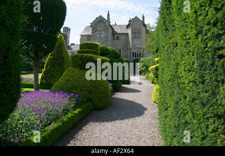 Topiary garden à Levens Hall au Royaume-Uni Banque D'Images