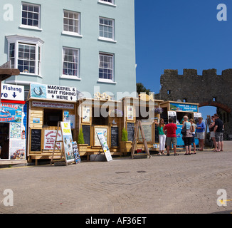 Cruises annoncés sur le port de Tenby, Tenby, Pembrokeshire, Pays de Galles, Royaume-Uni Banque D'Images