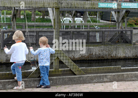 Cold Spring Harbor Fish Hatchery sur Long Island de la truite sont soulevées dans les piscines des stylos Banque D'Images