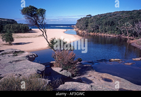 Wattamolla Beach, le Royal National Park, New South Wales, Australie Banque D'Images