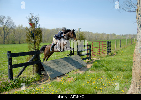 Equestrian cavalier et son cheval sautant par dessus une clôture au Kentucky USA Banque D'Images