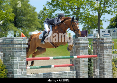 Equestrian hunter événement cavalier au Kentucky Horse Park de Lexington Kentucky USA Banque D'Images