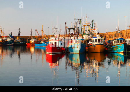 Les bateaux de pêche tôt le matin, le soleil d'été Kilmore Quay et du port dans le comté de Wexford Irlande Europe EU Banque D'Images