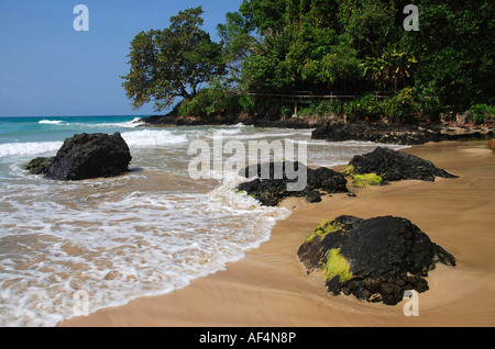 Red Frog beach. Bastimentos Island. Archipel Bocas del Toro. Le Panama. L'Amérique centrale Banque D'Images