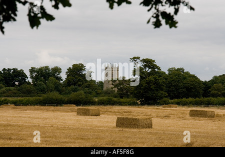 Champs arables et église St Mary Magdalene, Bataille, Shrewsbury, Shropshire Banque D'Images