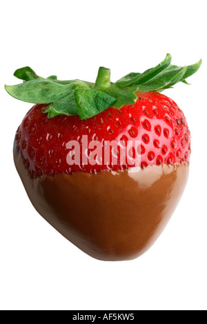 Fraises au chocolat Banque D'Images