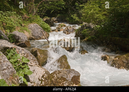 Le PARC NATIONAL DE TRIGLAV SLOVÉNIE Juin ue le flux depuis le Pericnik flux cascade vers le bas pour rejoindre la rivière Bistrica Banque D'Images