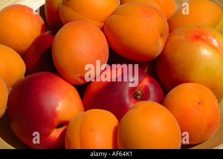 Libre de nectarines et abricots en Bol Bambou Banque D'Images