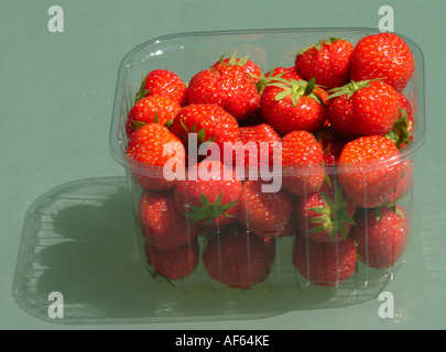 Punnett de fraises sur fond de verre vert Banque D'Images