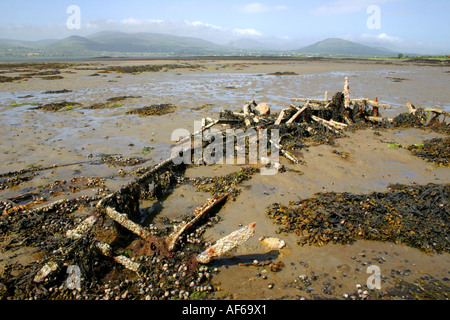 La recherche à travers les montagnes de Cooley dans le comté de Louth de Greencastle dans le comté de Down, Irlande Banque D'Images