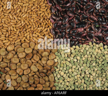 Les graines provenant de diverses légumineuses légumineuses pe fève haricot haricot vert Banque D'Images