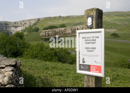 Inscrivez-vous à Pennine Way et le faucon vue à Malham Cove Yorkshire Dales UK Banque D'Images