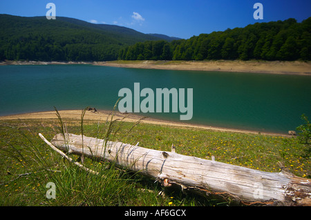 Embalse de Irabia, Selva de Irati, Navarra, Espagne. Réservoir d'Irabia, forêt d'Irati, Navarre, Espagne. Banque D'Images