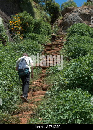 Randonnée sur les pentes du mont Elgon, dans l'Est de l'Ouganda Banque D'Images