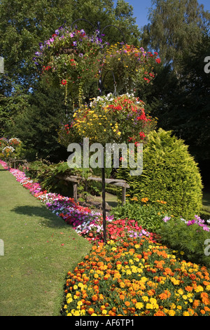 Paniers suspendus de fleurs et de fleurs de souci dans les litières dans les jardins publics du pays de Galles UK Banque D'Images