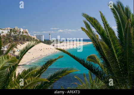 Plage de Sotavento de Jandia Morro Jable Fuerteventura Canaries Espagne Banque D'Images