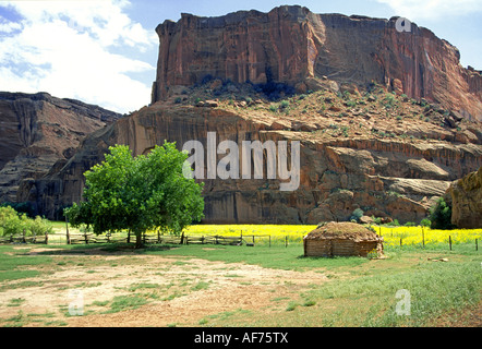 Un journal indien Navajo hogan sous les murs de grès du Canyon de Chelly, Arizona. Banque D'Images