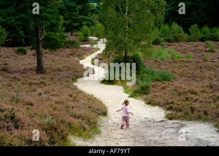 Une jeune fille court dans un chemin de sable dans la lande près de Guildford dans la campagne du Surrey UK Banque D'Images