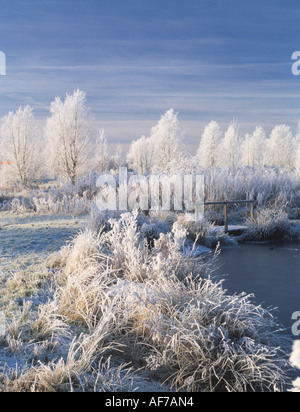 Royaume-Uni. Angleterre. Suffolk. Paysage d'hiver avec lac. Banque D'Images