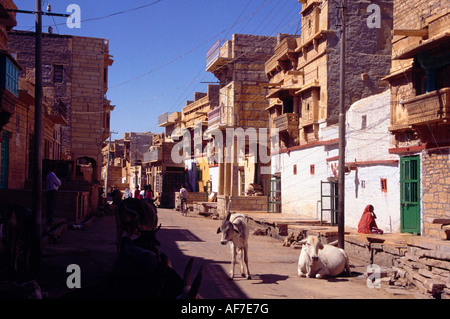 Jaisalmer Inde Vaches Scène de rue Banque D'Images