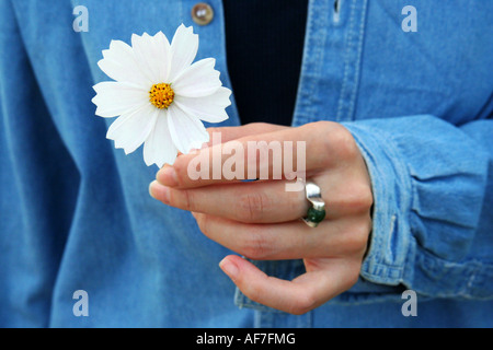 Ce qui donne une fleur Banque D'Images