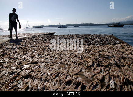 Jeune homme jette de poissons sortis sur le dock pour sécher au soleil, Livingston, Guatemala Banque D'Images